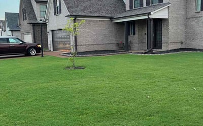 Photo of Trina C.'s yard after getting lawn care in Conyers, GA