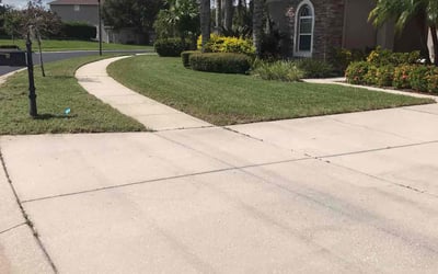 Photo of Mark K.'s yard after getting lawn care in Land O' Lakes, FL
