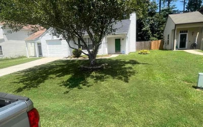 Photo of Melanie H.'s yard after getting lawn care in Austell, GA