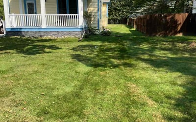 Photo of Jake M.'s yard after getting lawn care in Dewitt, MI
