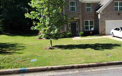 Photo of Mila C.'s yard after getting lawn care in Conyers, GA