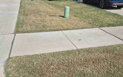 Photo of Andrew R.'s yard after getting lawn care in Eagan, MN