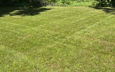 Photo of Katelynn D.'s yard after getting lawn care in Taunton, MA