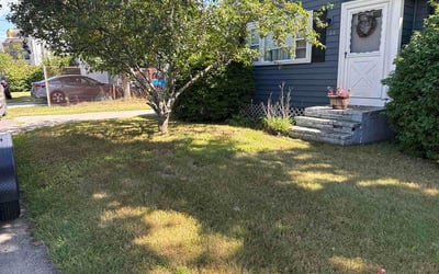 Photo of Rochelle V.'s yard after getting lawn care in Wendell, NC