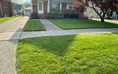 Photo of Lauren D.'s yard after getting lawn care in Novi, MI