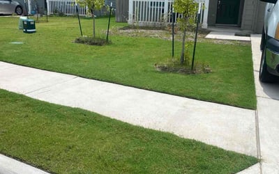 Photo of Larry T.'s yard after getting lawn care in Elgin, TX