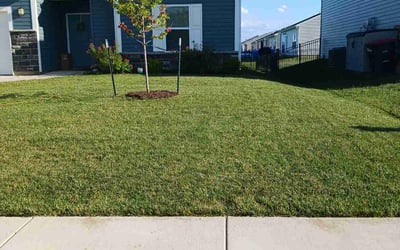 Photo of Joe L.'s yard after getting lawn care in Lafayette, IN