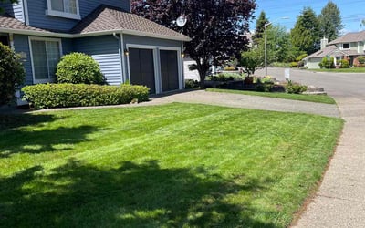 Photo of Darla B.'s yard after getting lawn care in Federal Way, WA