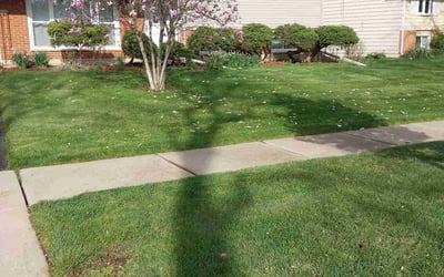 Photo of Jeff S.'s yard after getting lawn care in Hoffman Estates, IL