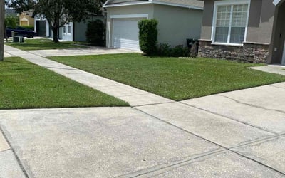 Photo of Andrew S.'s yard after getting lawn care in Key Largo, FL