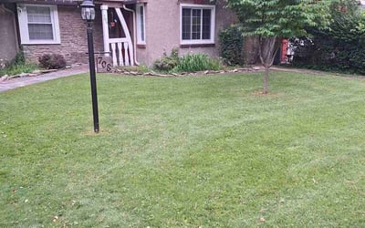 Photo of Mary H.'s yard after getting lawn care in Syracuse, NY