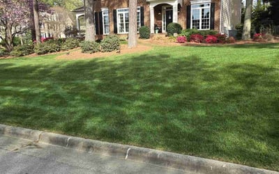 Photo of Ramsey O.'s yard after getting lawn care in Four Oaks, NC