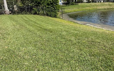 Photo of Craig B.'s yard after getting lawn care in Saint Augustine, FL