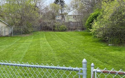 Photo of Cathy T.'s yard after getting lawn care in Canastota, NY