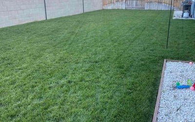 Photo of Ashley M.'s yard after getting lawn care in Manteca, CA