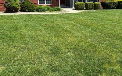 Photo of Stacy C.'s yard after getting lawn care in Belleville, IL