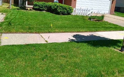Photo of Katherine W.'s yard after getting lawn care in Dearborn, MI