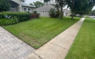 Photo of Darious S.'s yard after getting lawn care in Ellenwood, GA
