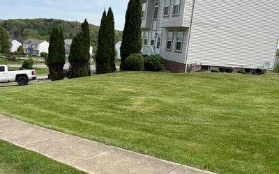 Photo of Melody L.'s yard after getting lawn care in Tarentum, PA