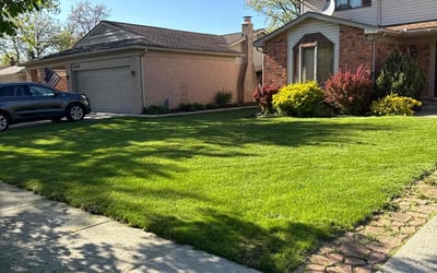 Photo of Jimmie R.'s yard after getting lawn care in Freeport, NY