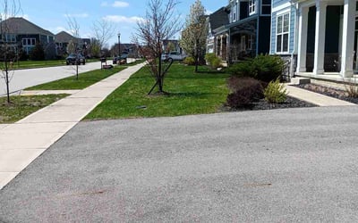 Photo of Katie M.'s yard after getting lawn care in Delaware, OH