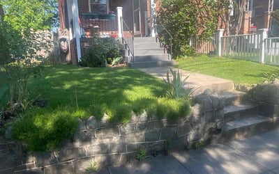 Photo of Marcus P.'s yard after getting lawn care in Washington, DC