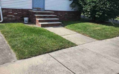Photo of Julie E.'s yard after getting lawn care in Lowell, MA