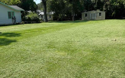 Photo of Tami S.'s yard after getting lawn care in Breaux Bridge, LA