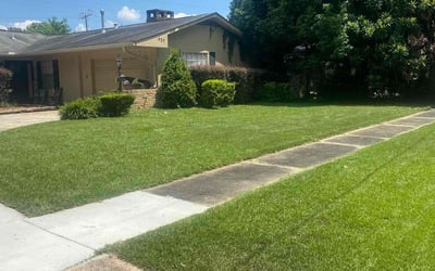 Photo of Angela P.'s yard after getting lawn care in Mobile, AL