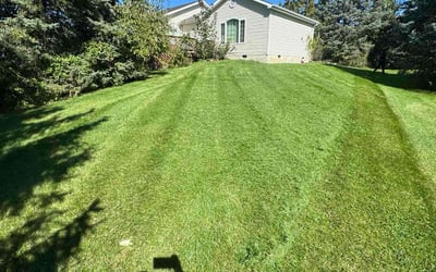 Photo of Harry O.'s yard after getting lawn care in Hanover, PA