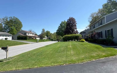 Photo of Jack K.'s yard after getting lawn care in Redford, MI