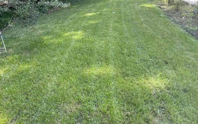 Photo of Shuran W.'s yard after getting lawn care in Hanover, PA