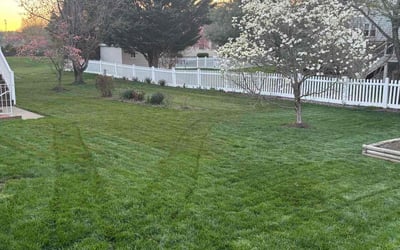 Photo of Winter W.'s yard after getting lawn care in Winchester, VA