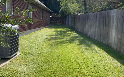 Photo of Shawnya A.'s yard after getting lawn care in Lockhart, TX