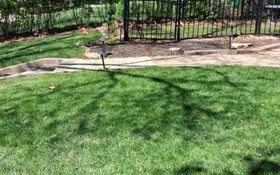 Photo of Shane W.'s yard after getting lawn care in Omaha, NE
