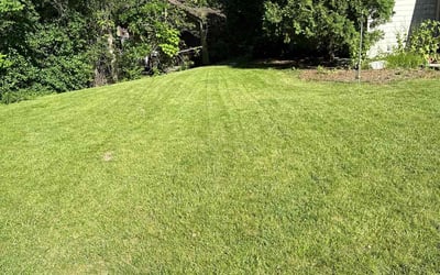 Photo of Linda M.'s yard after getting lawn care in Homer Glen, IL