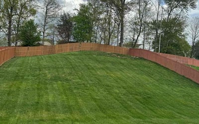 Photo of Kelly A.'s yard after getting lawn care in Kingstowne, VA