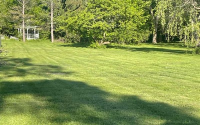 Photo of Loukeisha I.'s yard after getting lawn care in Chagrin Falls, OH