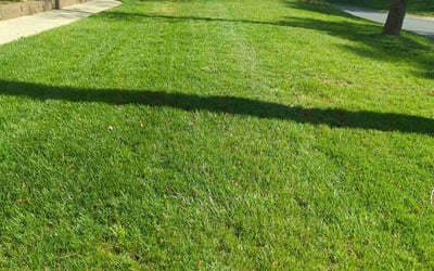 Photo of Jason P.'s yard after getting lawn care in Waxhaw, NC