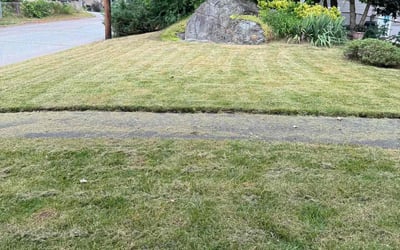 Photo of Dewayne W.'s yard after getting lawn care in Methuen, MA