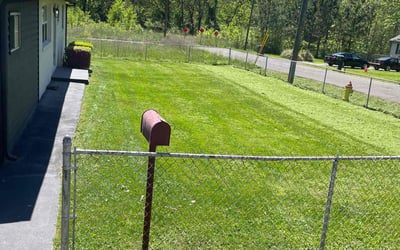 Photo of Lee T.'s yard after getting lawn care in Farragut, TN