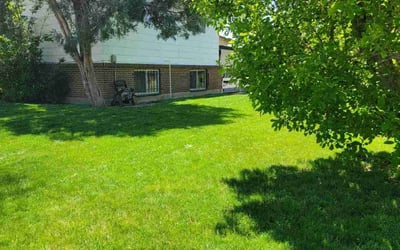 Photo of Cindy S.'s yard after getting lawn care in Woodland Park, CO