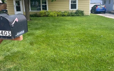 Photo of Otilia D.'s yard after getting lawn care in Round Lake Beach, IL