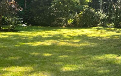 Photo of Sherry D.'s yard after getting lawn care in Bainbridge Island, WA