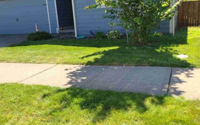 Photo of Jerry L.'s yard after getting lawn care in Olympia, WA