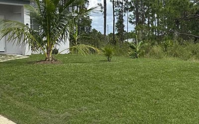 Photo of Ross T.'s yard after getting lawn care in Lehigh Acres, FL