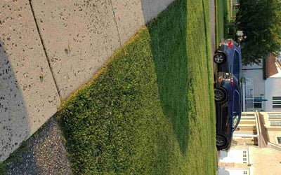 Photo of Timothy D.'s yard after getting lawn care in Wayne, PA