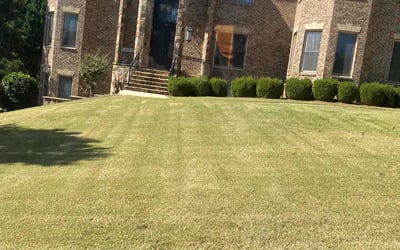 Photo of shantelle S.'s yard after getting lawn care in Marietta, GA