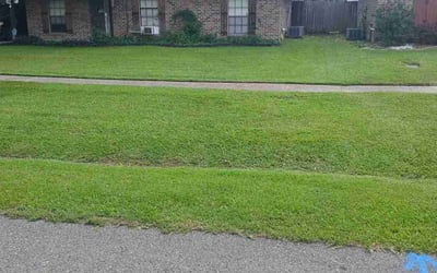 Photo of Lora G.'s yard after getting lawn care in Zachary, LA