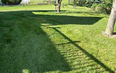 Photo of Safa H.'s yard after getting lawn care in Greensburg, PA